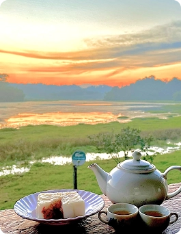 Bữa sáng giữa thiên nhiên