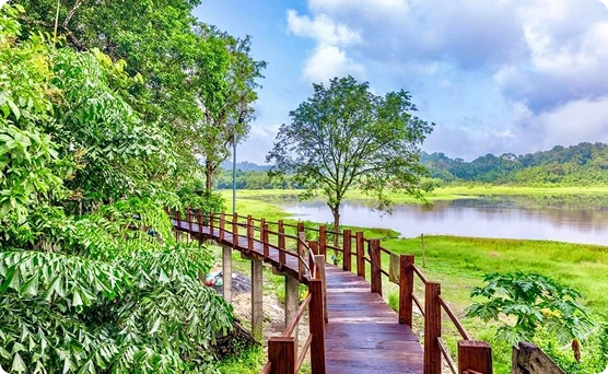 Đến Nam Cát Tiên, ăn trưa và nhận phòng