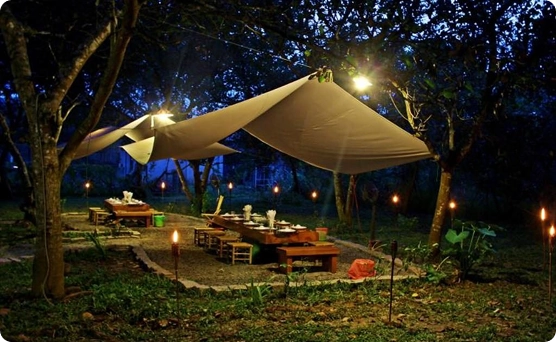 Ăn tối & Jeep safari xuyên rừng đêm