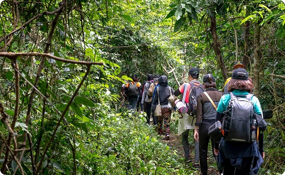Trekking nhẹ xuyên rừng nguyên sinh