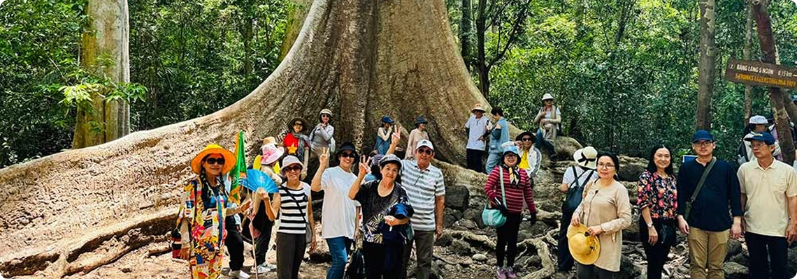 Trekking nhẹ xuyên rừng nguyên sinh