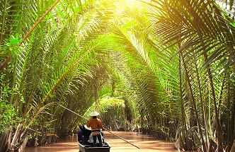 Mekong River Life: Floating Markets & Fruit Orchards