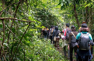 Lost in the Rainforest: The Ultimate Cat Tiên Trek