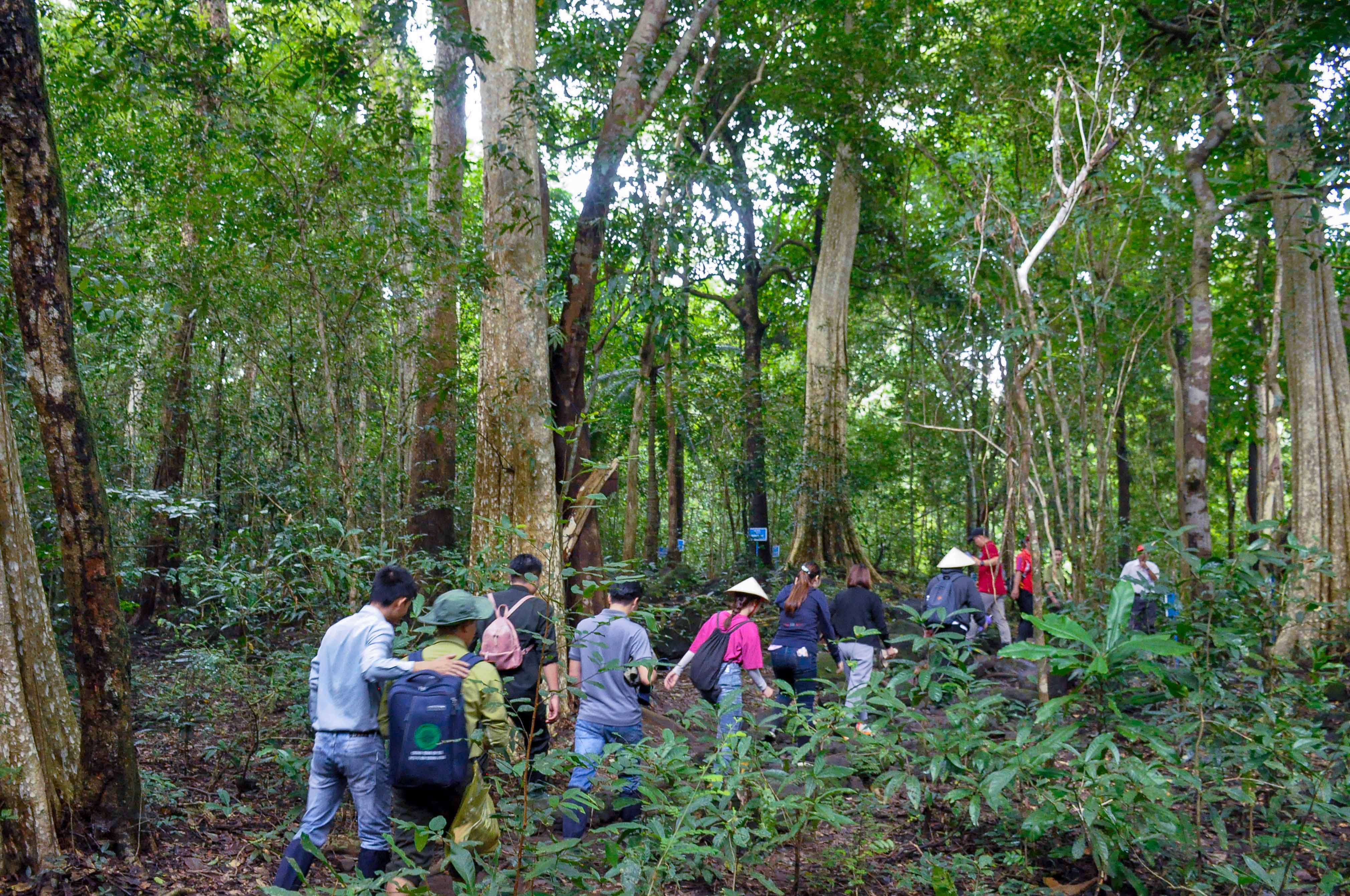 Trekking xuyên rừng nguyên sinh Nam Cát Tiên