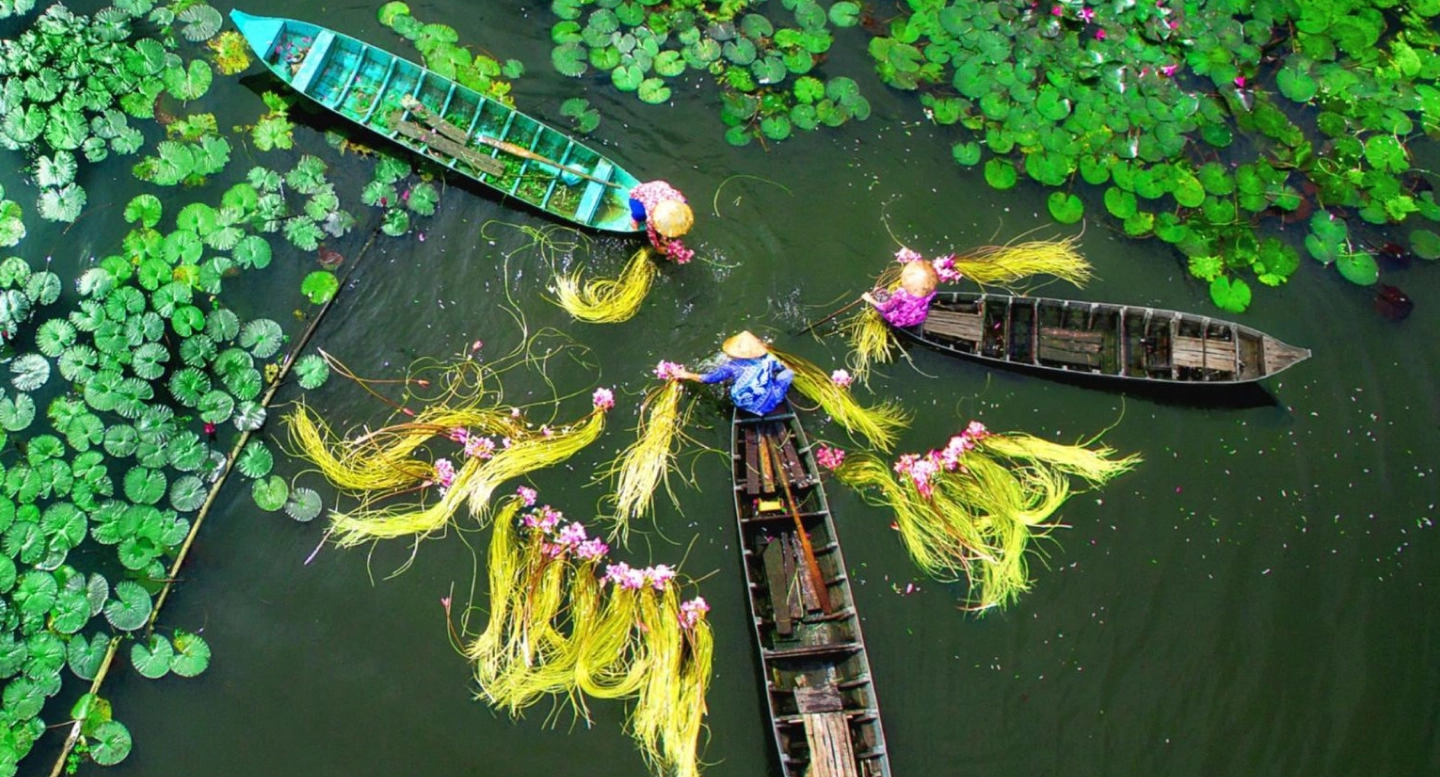 Depart for the Mekong Delta